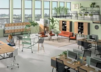 buronomic x Mobloo - Aménagement de bureau durable buronomic avec mobilier en bois, pensé pour le bien‑être et la performance au travail