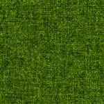 Gabriel - Vert Acide